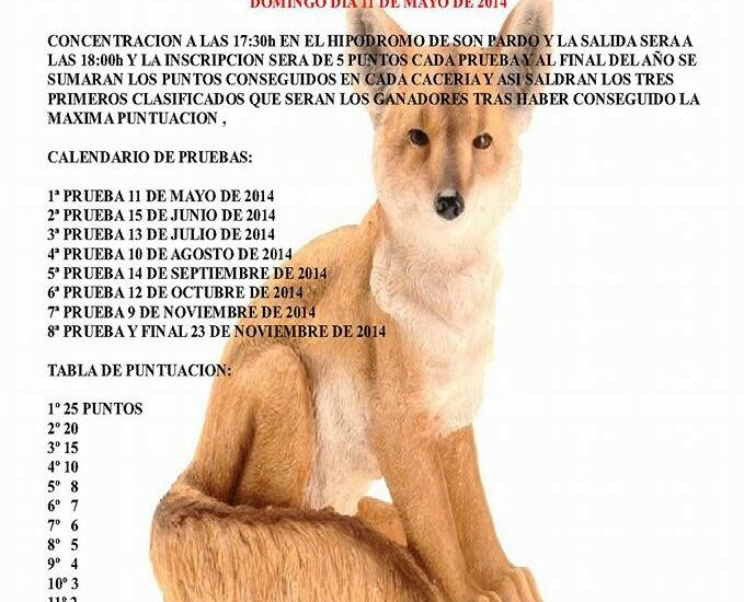 XXI Liga de Radiolocalización RC27P