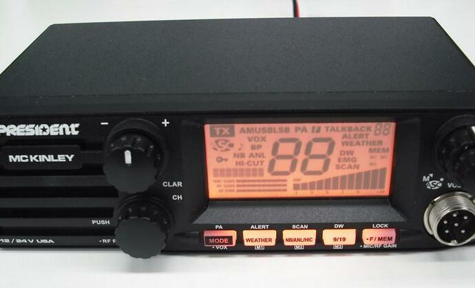 President McKinley 2016